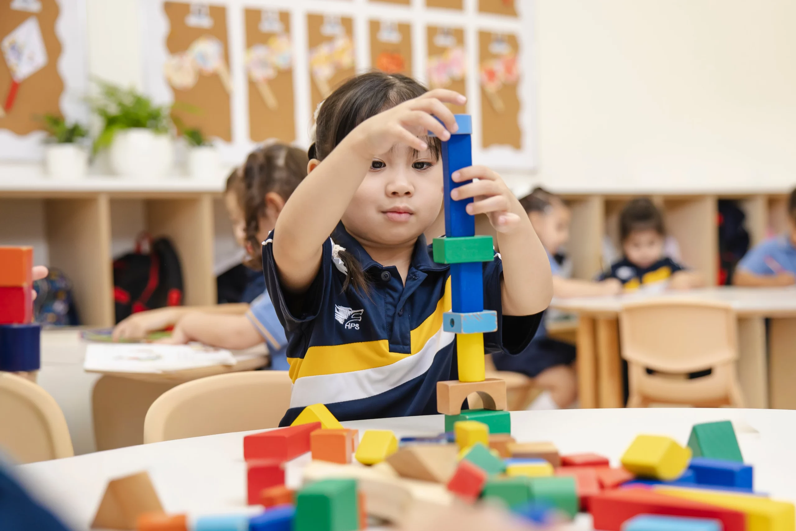 Curriculum Educational Standards